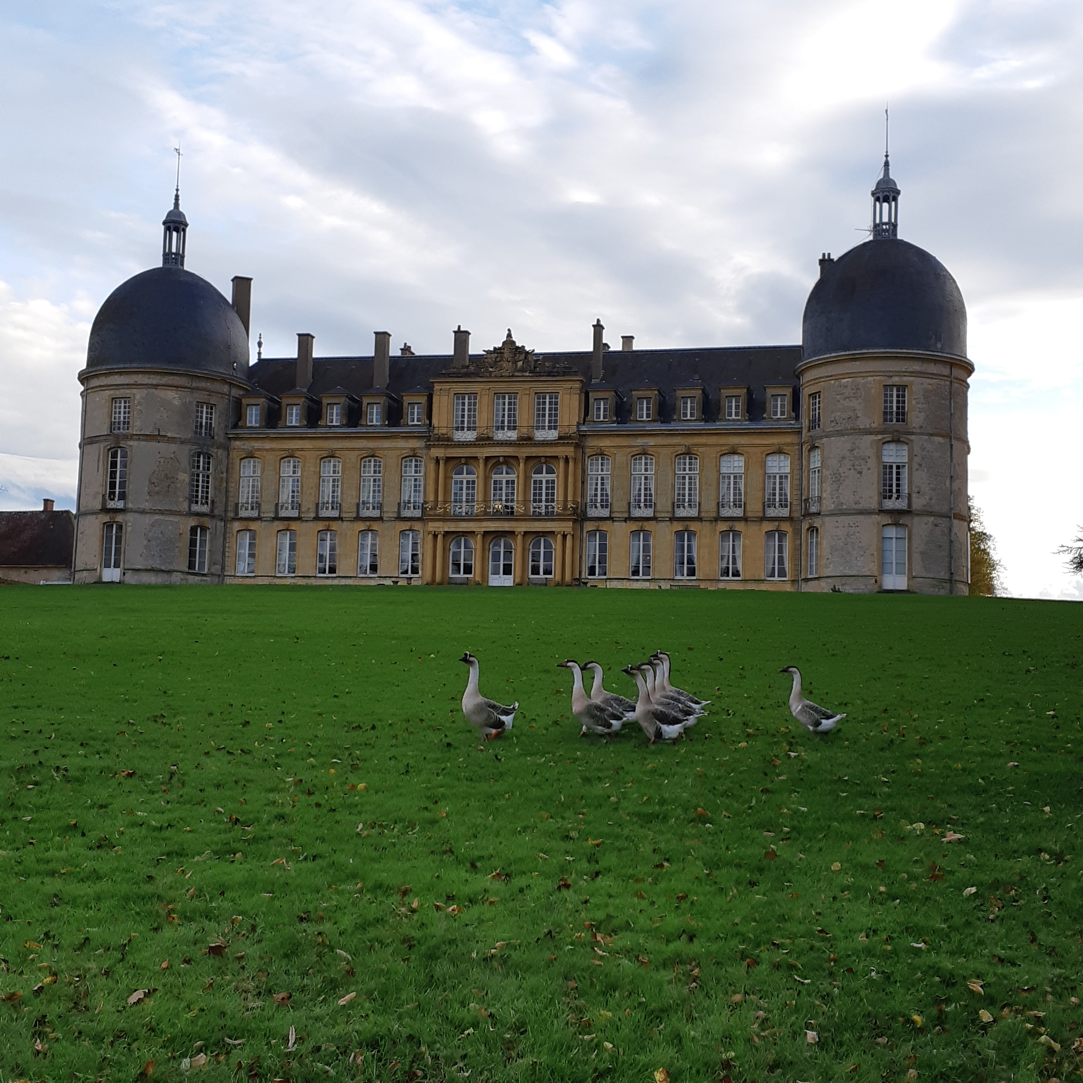 Photo n° 2 de l'avis de Christophe.e fait le 31/10/2021 à 20:24