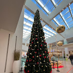 Photo n°12 de l'avis de Roberto.e fait le 27/11/2021 à 20:05 sur le  Namí Bistrò à Conegliano