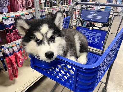 Pet Supply Store «PetSmart», reviews and photos, 1846 N Causeway Blvd B, Mandeville, LA 70471, USA
