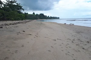 Pantai Parentek image