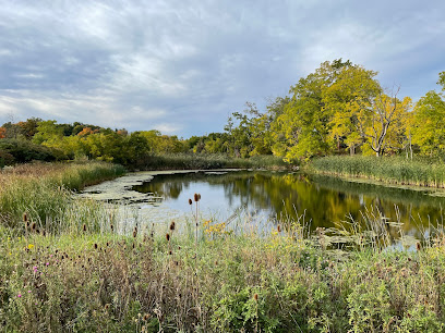 Culham Trail