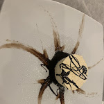 Photo n°3 de l'avis de crina.i fait le 07/05/2022 à 18:40 sur le  RISTORANTE IL PIATTO FORTE à Perugia