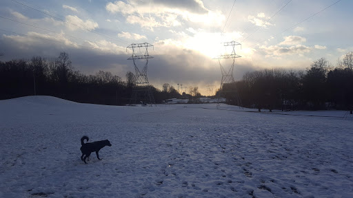 Park «Teegarden Park», reviews and photos, 440 Old State Rd, Berwyn, PA 19312, USA