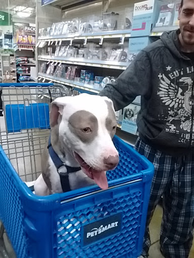 Pet Supply Store «PetSmart», reviews and photos, 20530 E 13 Mile Rd, Roseville, MI 48066, USA