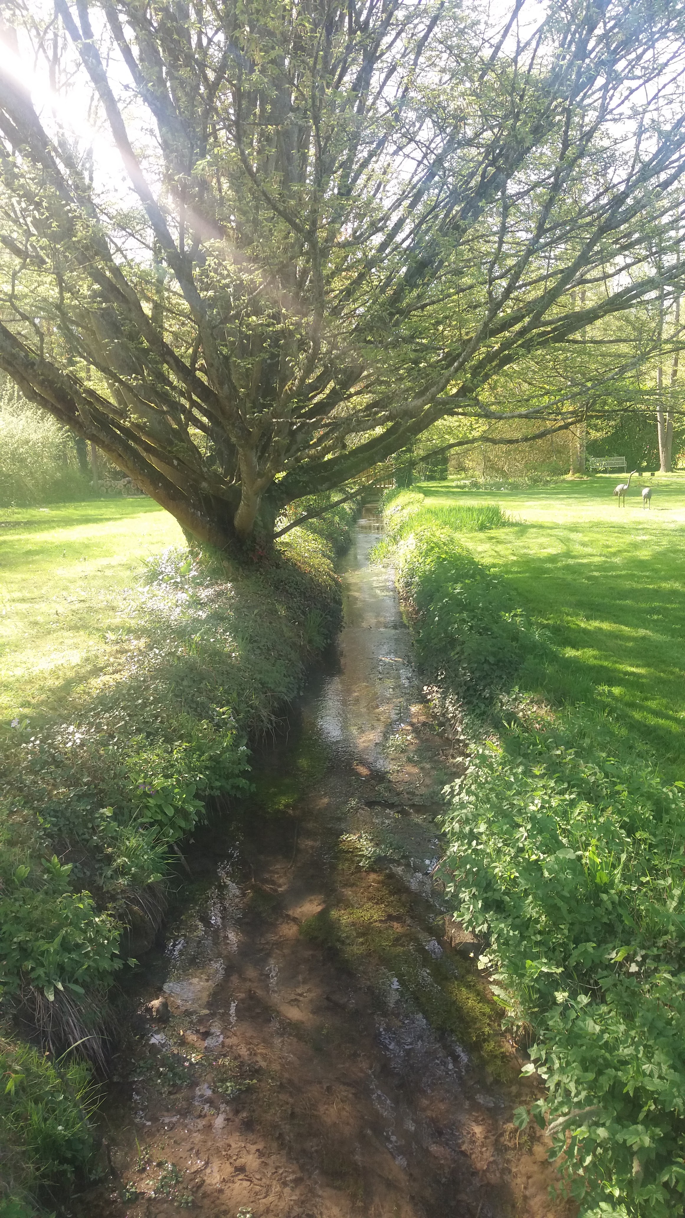 Photo n° 2 de l'avis de Amandine.a fait le 22/04/2018 à 06:34