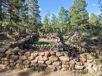 Elden Pueblo Archaeological Site