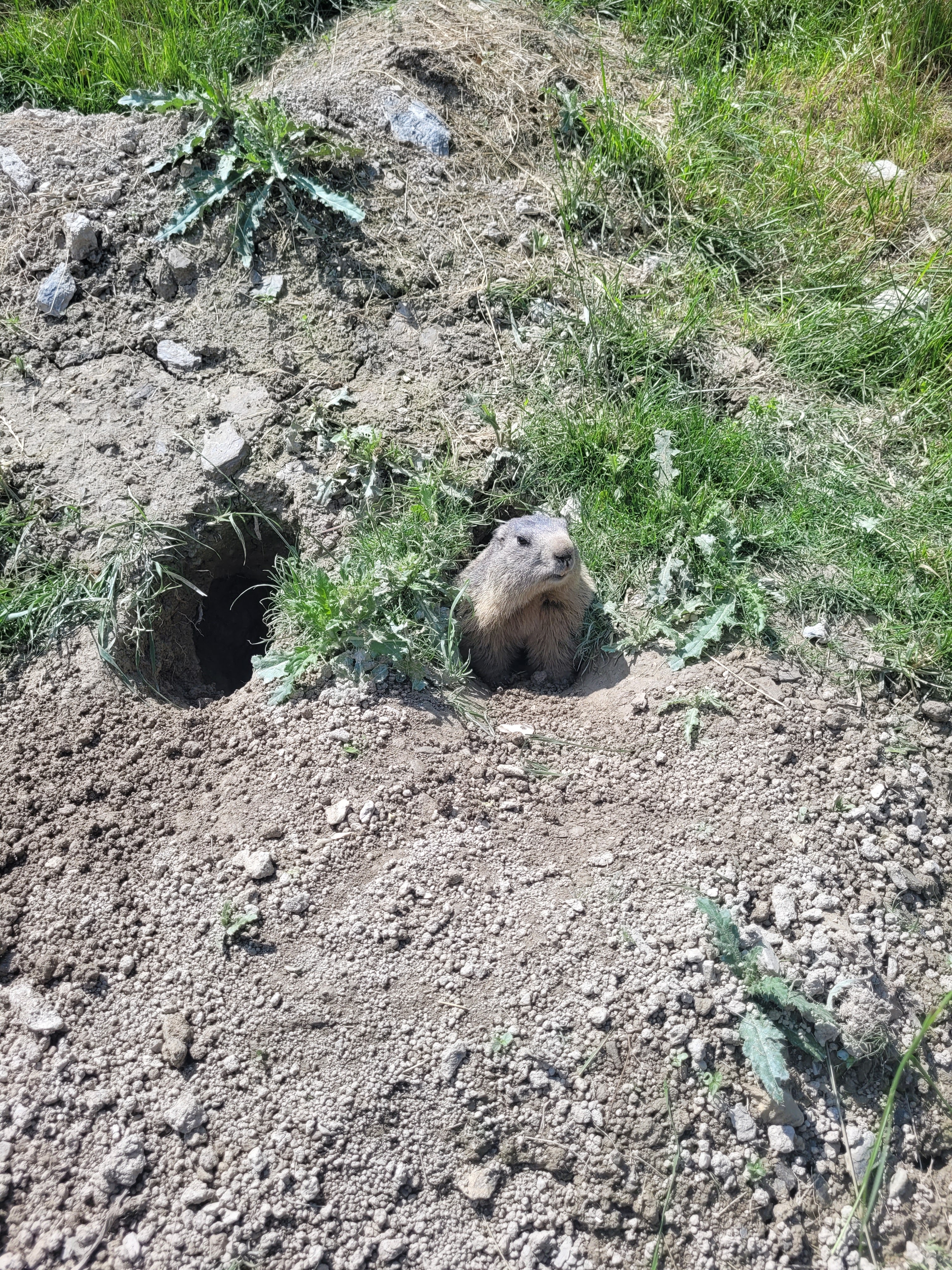 Photo n° 5 de l'avis de Laëtitia.L fait le 19/06/2023 à 13:54