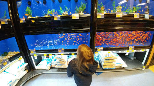 Pet Supply Store «PetSmart», reviews and photos, 215 Needham St, Newton, MA 02464, USA