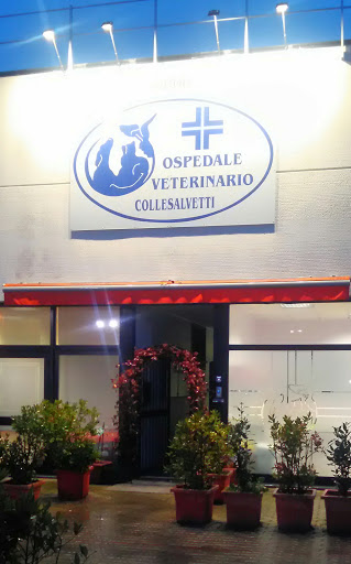 Pensioni per cani e dog hotel a Ospedale Veterinario Collesalvetti