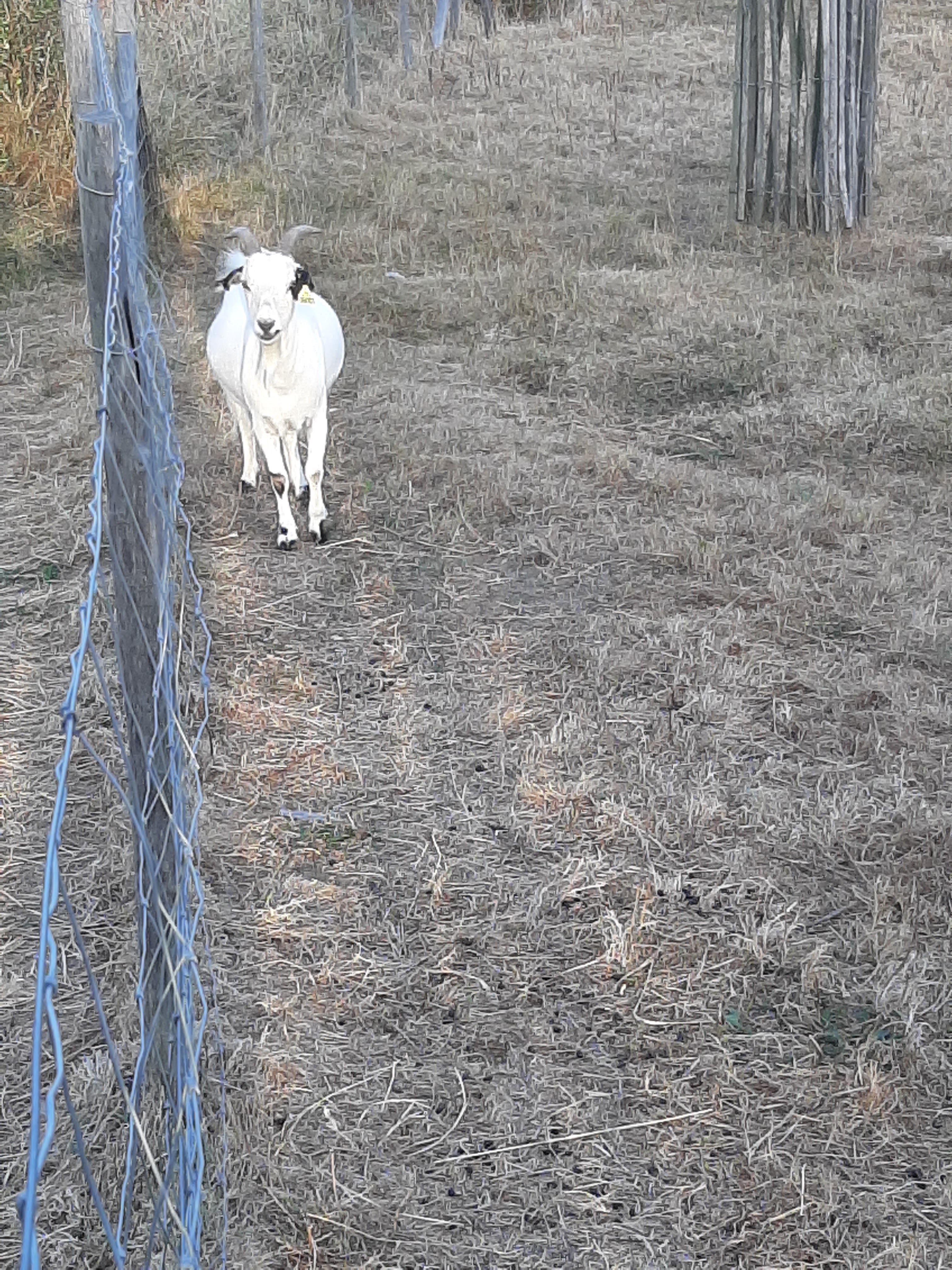 Photo n° 2 de l'avis de cyrille.i fait le 11/08/2020 à 19:07