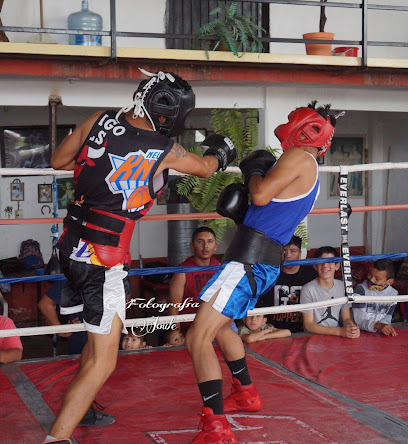 Club de box Ricardo La piedra Barrón - Mercurio 106, La Estrella, 76700 Pedro Escobedo, Qro., Mexico