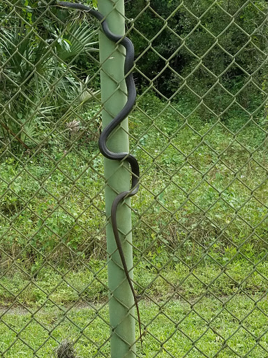 Nature Preserve «Woodmont Natural Area», reviews and photos, 7250 NW 80th Pl, Pompano Beach, FL 33321, USA