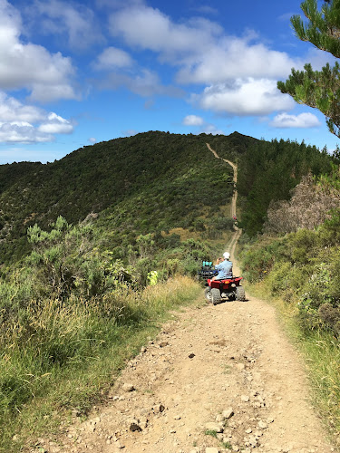 Wellington Adventures - Quad Bike Expeditions - Car dealer