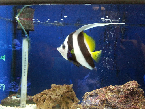 Pet Supply Store «Pet Station Jackson», reviews and photos, 1617 E Michigan Ave, Jackson, MI 49202, USA