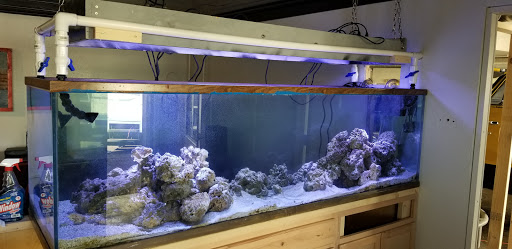 Pet Supply Store «Petco Animal Supplies», reviews and photos, 17132 W Colfax Ave, Golden, CO 80401, USA