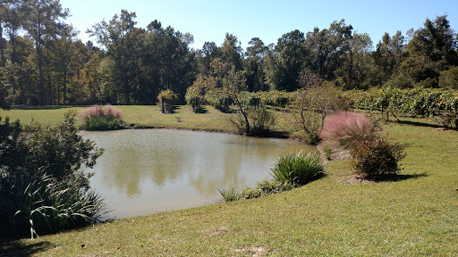 Vineyard «La Belle Amie Vineyard», reviews and photos, 1120 St Joseph Rd, Little River, SC 29566, USA