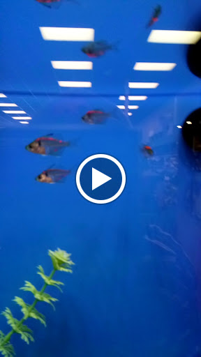 Pet Store «Pet Depot», reviews and photos, 10008 Memorial Pkwy SW, Huntsville, AL 35803, USA