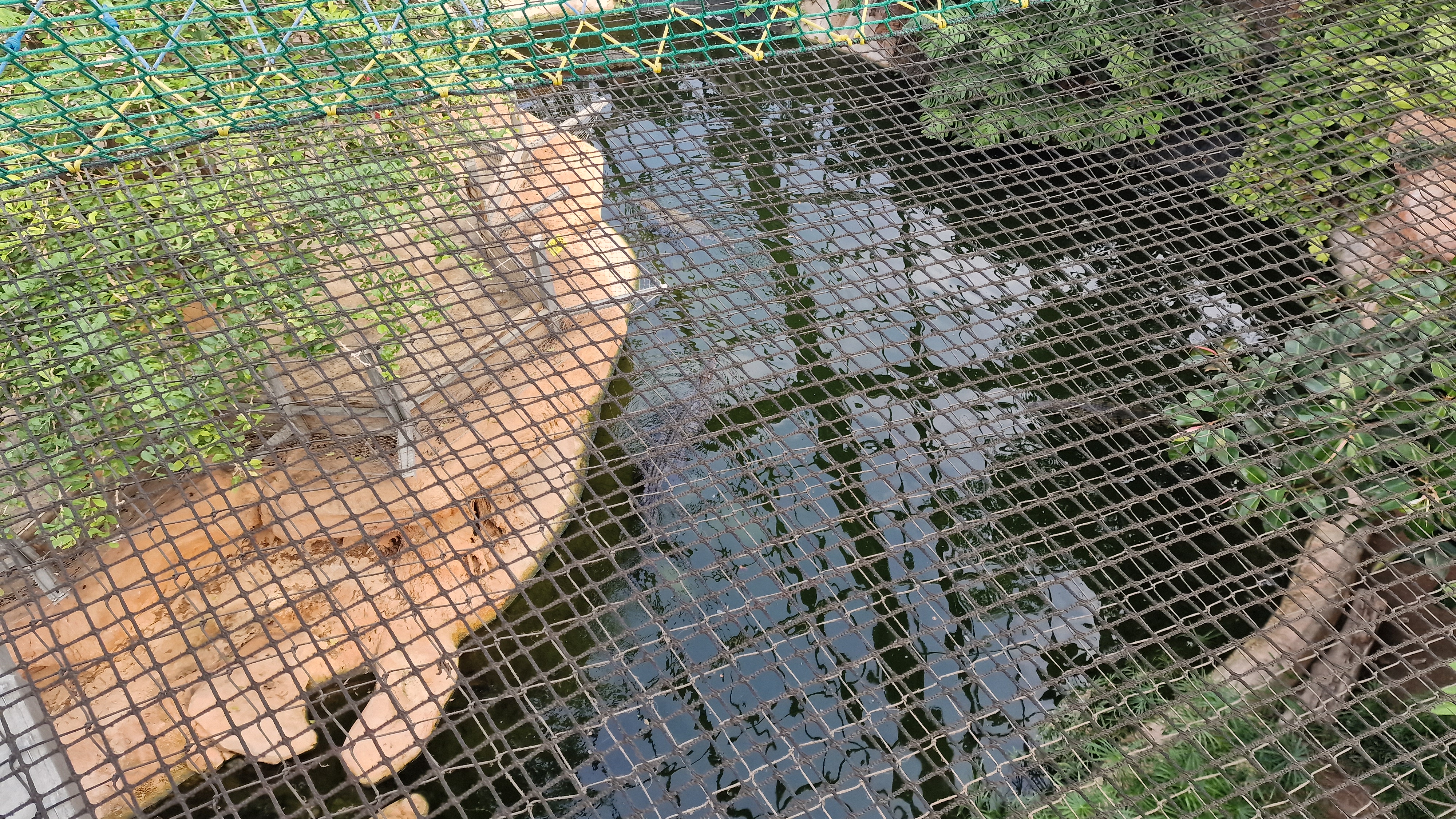 Photo n° 23 de l'avis de Gaelle.h fait le 23/07/2023 à 15:11