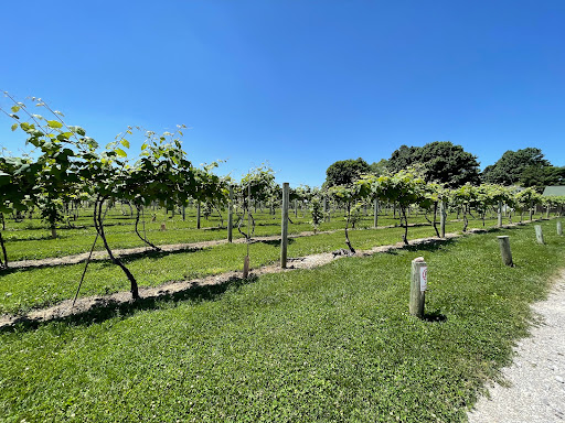 Winery «Mallow Run Winery», reviews and photos, 6964 W Whiteland Rd, Bargersville, IN 46106, USA