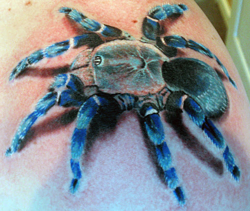 Explore space filling tattoo ideas, creative tattoo ideas in Saratoga Springs, available at Gold Tiger Tattoo