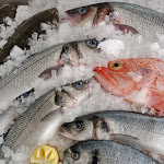 Photo n°3 de l'avis de fernando.i fait le 07/06/2023 à 16:25 sur le  O Oceanário à Peniche