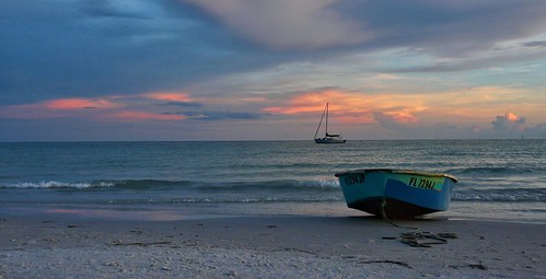 Aquarium «Mote Marine Laboratory & Aquarium», reviews and photos, 1600 Ken Thompson Pkwy, Sarasota, FL 34236, USA