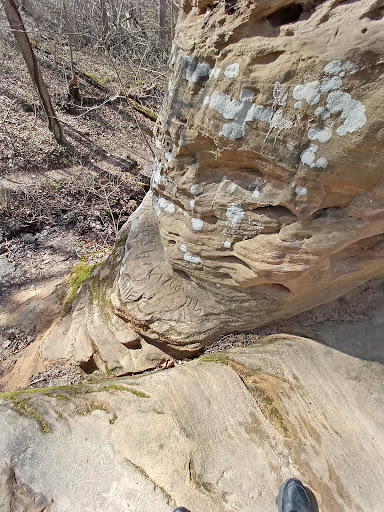 Nature Preserve «Jug Rock Nature Preserve», reviews and photos, Albright Ln, Shoals, IN 47581, USA