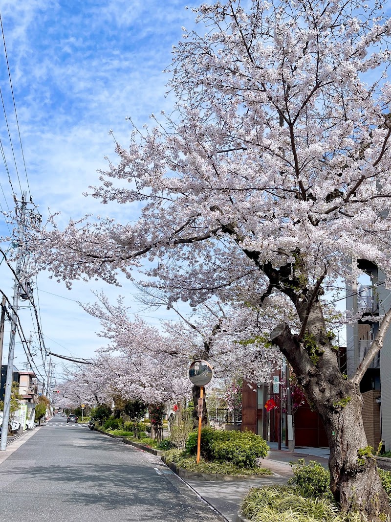 水道みち緑道