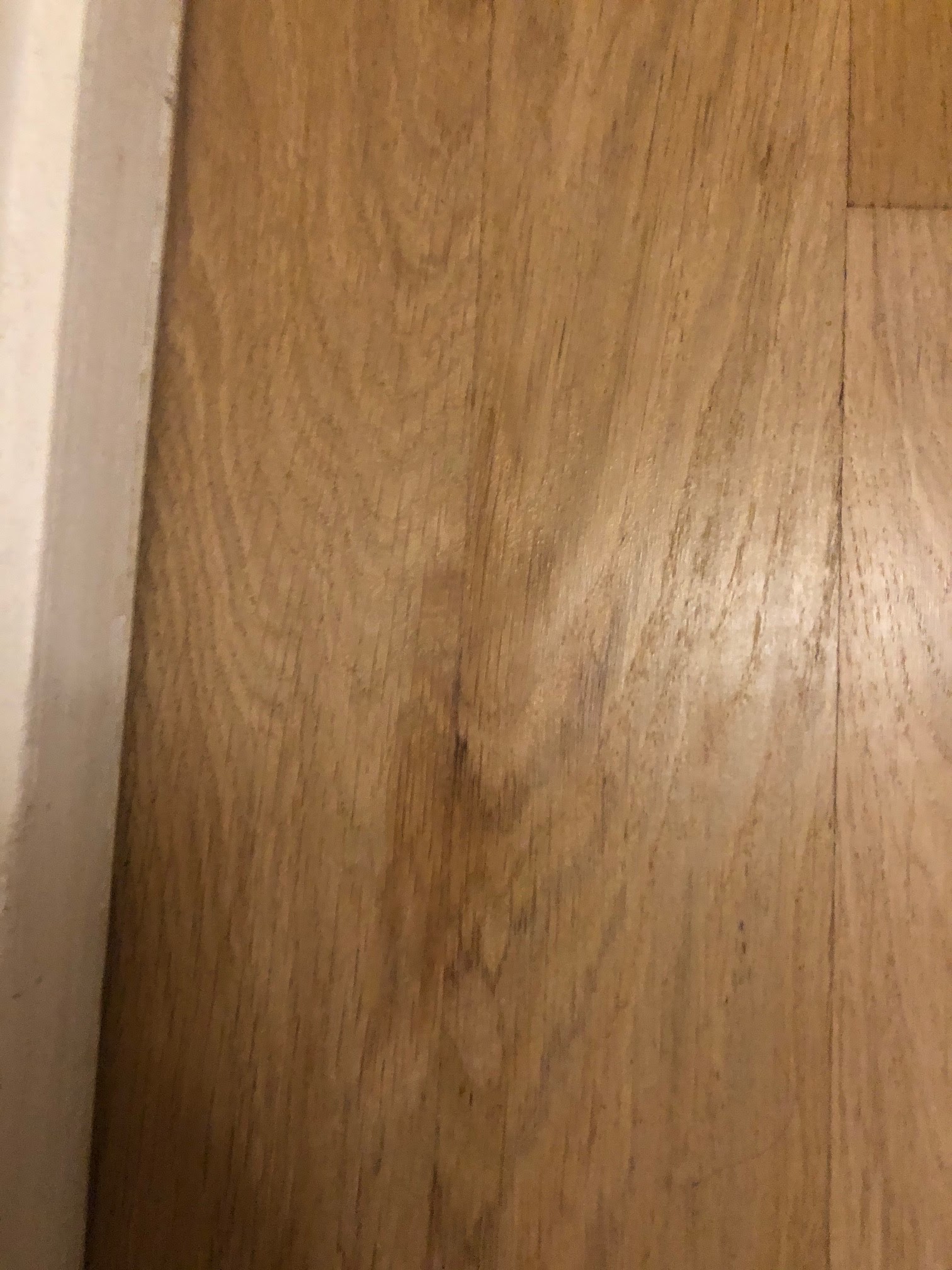 Photo n° 2 de l'avis de Rémi.D fait le 01/03/2021 à 18:22