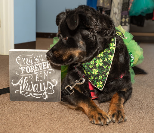 Thrift Store «The Treasure Hound», reviews and photos, 14508 Old Lee Rd, Chantilly, VA 20151, USA