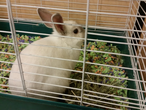 Pet Supply Store «PetSmart», reviews and photos, 1621 E Monte Vista Ave b, Vacaville, CA 95688, USA