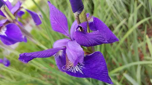 Park «Caumsett State Park», reviews and photos, 25 Lloyd Harbor Rd, Lloyd Harbor, NY 11743, USA