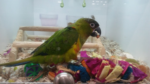 Pet Store «Fins Feathers Paws Claws», reviews and photos, 201 Station Rd, Quakertown, PA 18951, USA