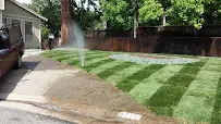 Acosta Landscaping - Car repair in , Roseville - Rated 5.0/5