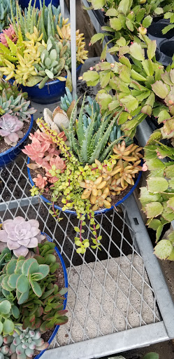 Home Improvement Store «The Home Depot», reviews and photos, 24332 El Toro Rd, Laguna Hills, CA 92653, USA