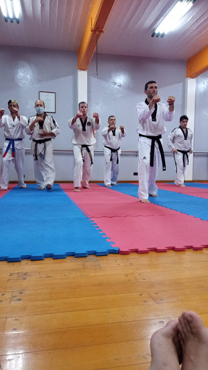 Escuela de Taekwondo WT Jorge del Giovine en Lanus