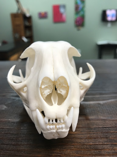 Tattoo Shop «Fox Tattoo Parlor & Gallery», reviews and photos, 3045-B SE 3rd Ave, Ocala, FL 34471, USA