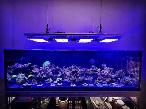 Tropical Fish Store «Glasscages.com LLC», reviews and photos, 1500 E Piney Rd, Dickson, TN 37055, USA