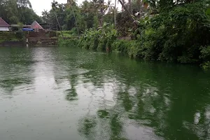 Mampilly Temple Pond image