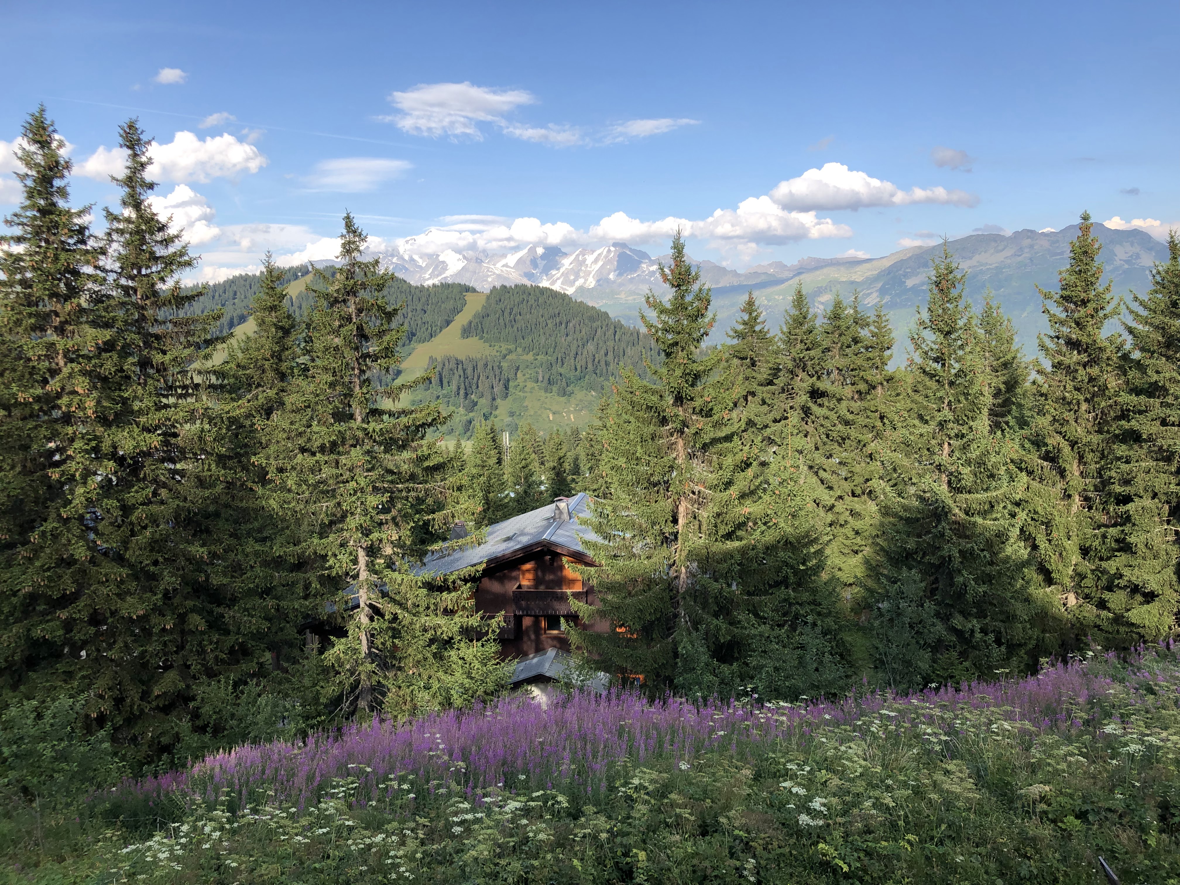 Photo n° 1 de l'avis de Nicolas.H fait le 07/08/2019 à 11:27