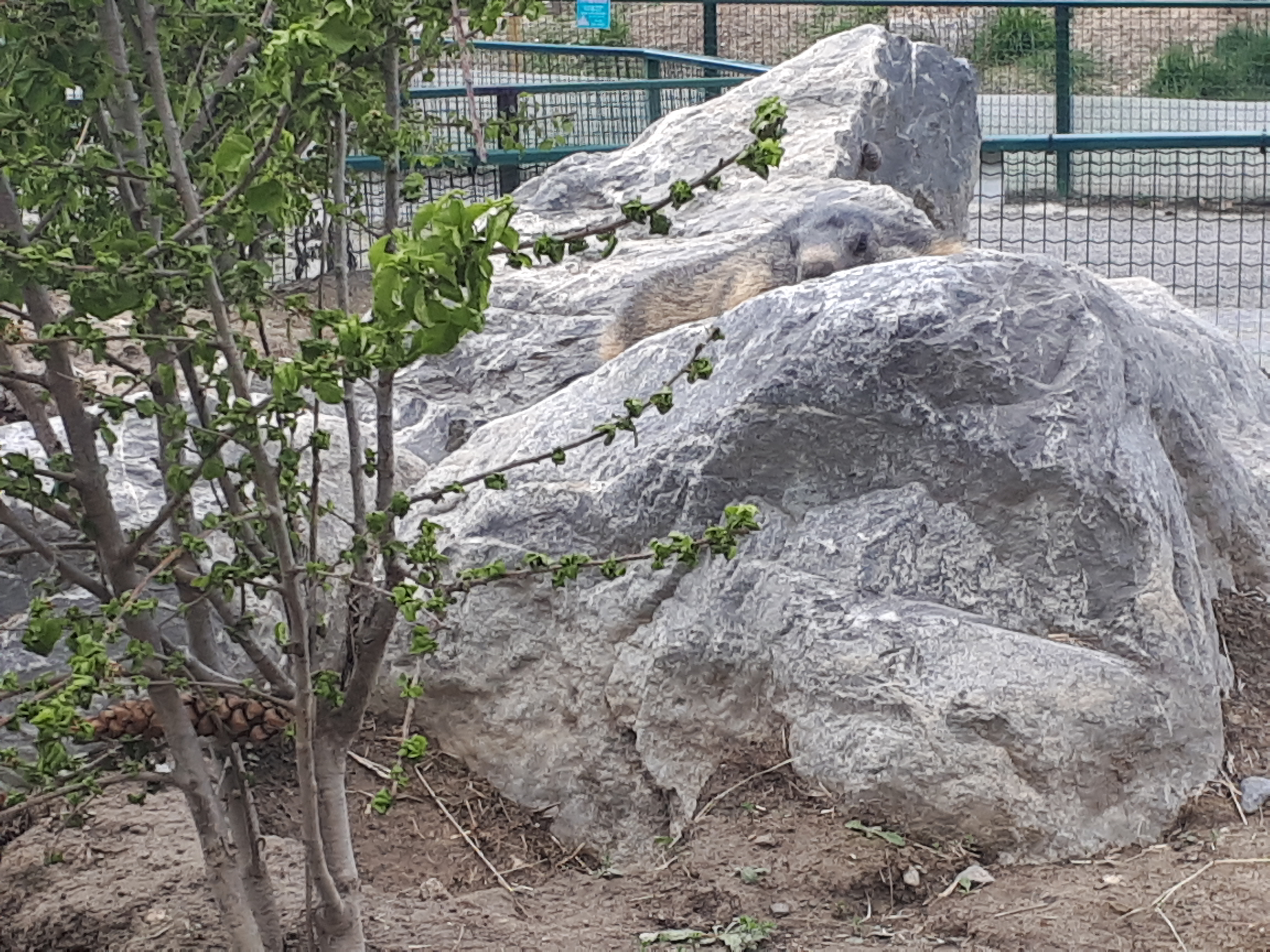 Photo n° 6 de l'avis de Nath.� fait le 16/05/2018 à 21:32