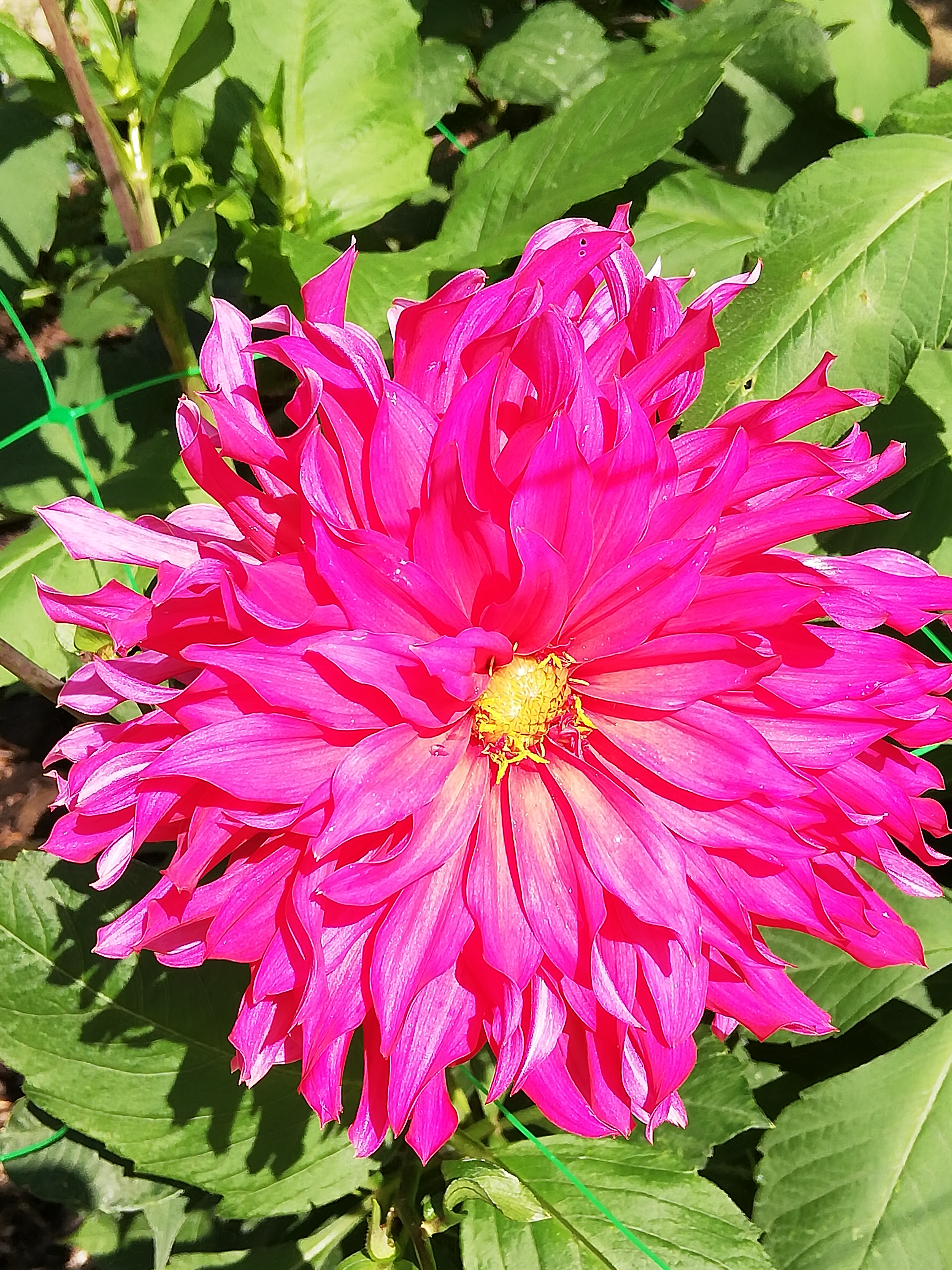 Photo n° 1 de l'avis de Samia.e fait le 16/08/2020 à 16:39