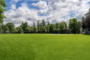 Queen's Park Off-Leash Dog Areas image