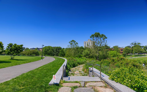 Park «Mill River Park», reviews and photos, 1010 Washington Blvd, Stamford, CT 06901, USA