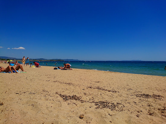 Plage des Vieux Salins