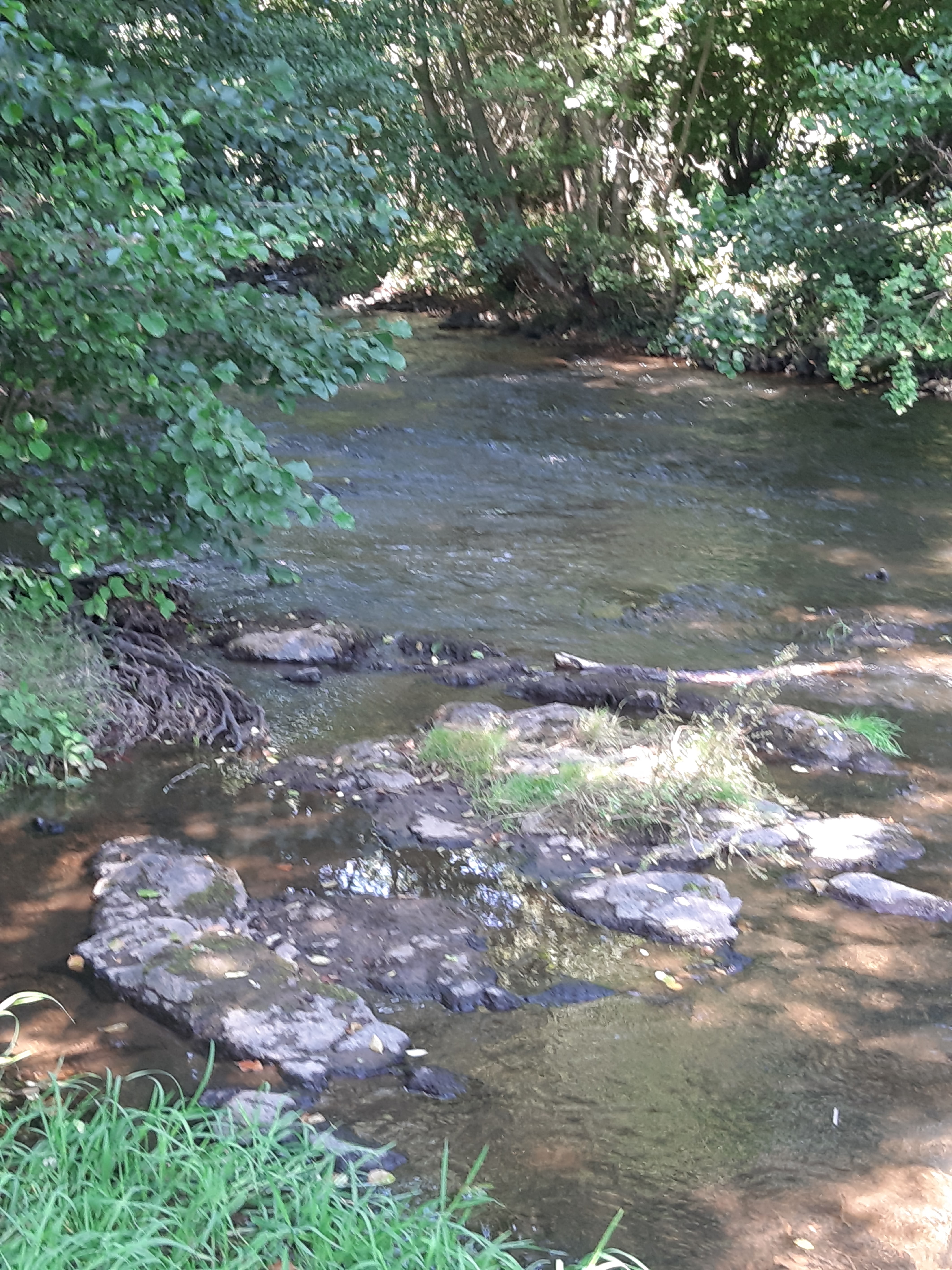 Photo n° 2 de l'avis de Nathalie.o fait le 18/08/2019 à 16:02