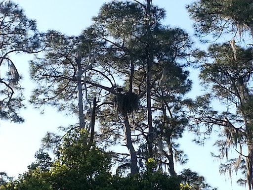 Golf Course «Deer Island Country Club», reviews and photos, 18000 Eagles Club House Way, Tavares, FL 32778, USA