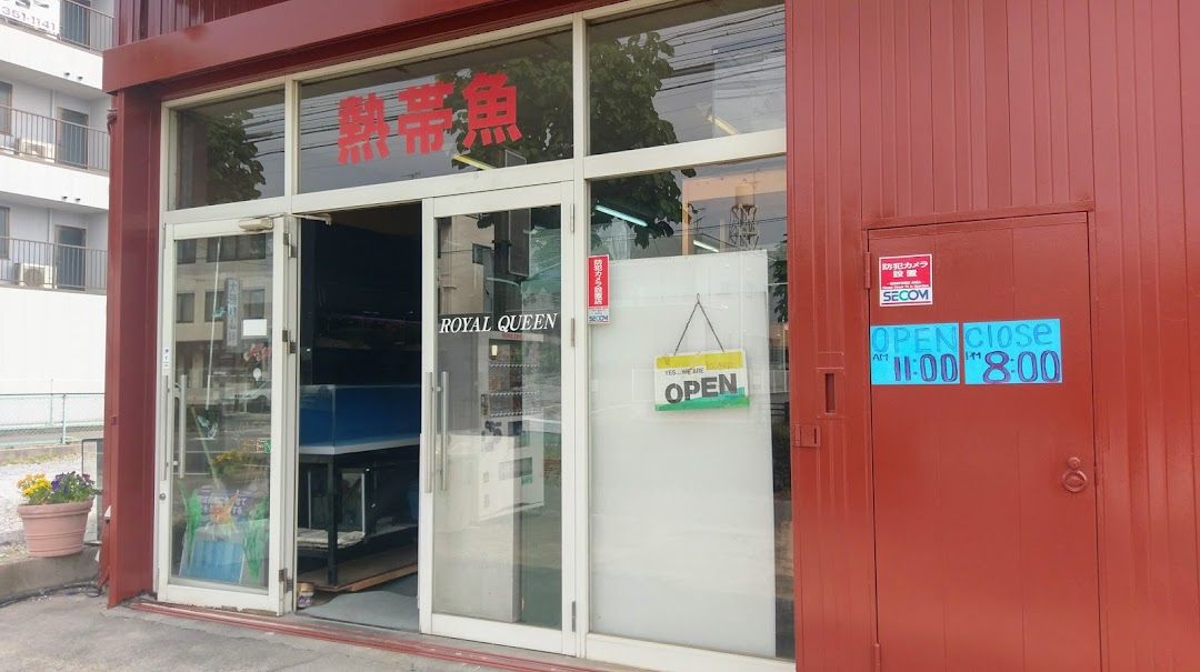 ロイヤルクイン中川店