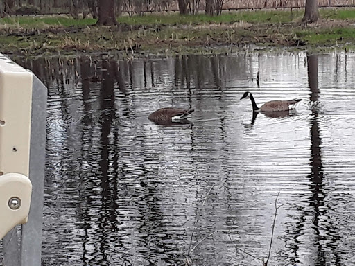 Nature Preserve «Lincoln Marsh», reviews and photos, Harrison Ave & Pierce Ave, Wheaton, IL 60187, USA