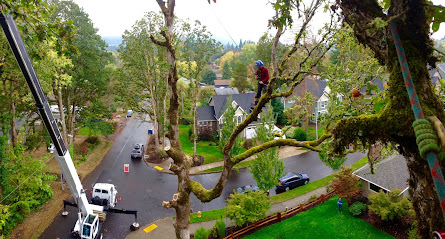 Oregon Tree Care